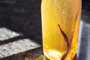 syrup5