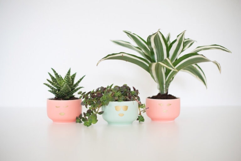 DIY Girly Face Planters
