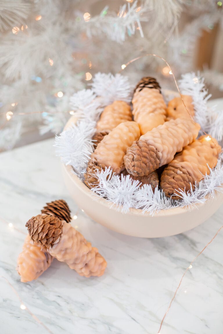 pine cone crafts