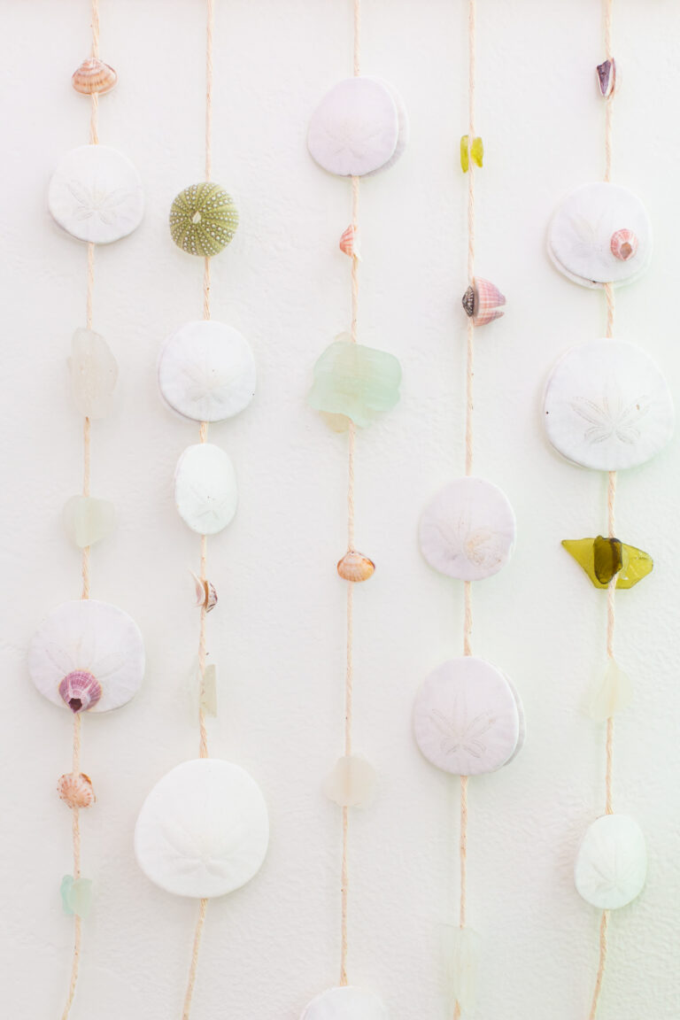 seashell craft